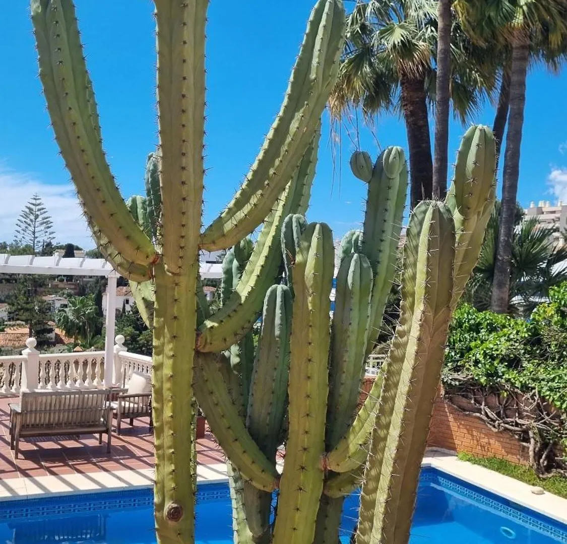 Villa Con Piscina Pedregalejo Cerca De Playas Y Centro Historico Malaga